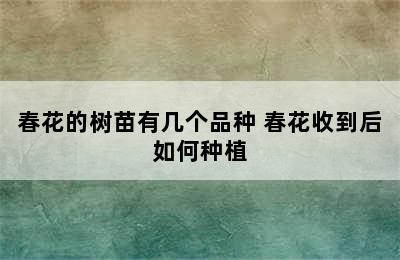 春花的树苗有几个品种 春花收到后如何种植